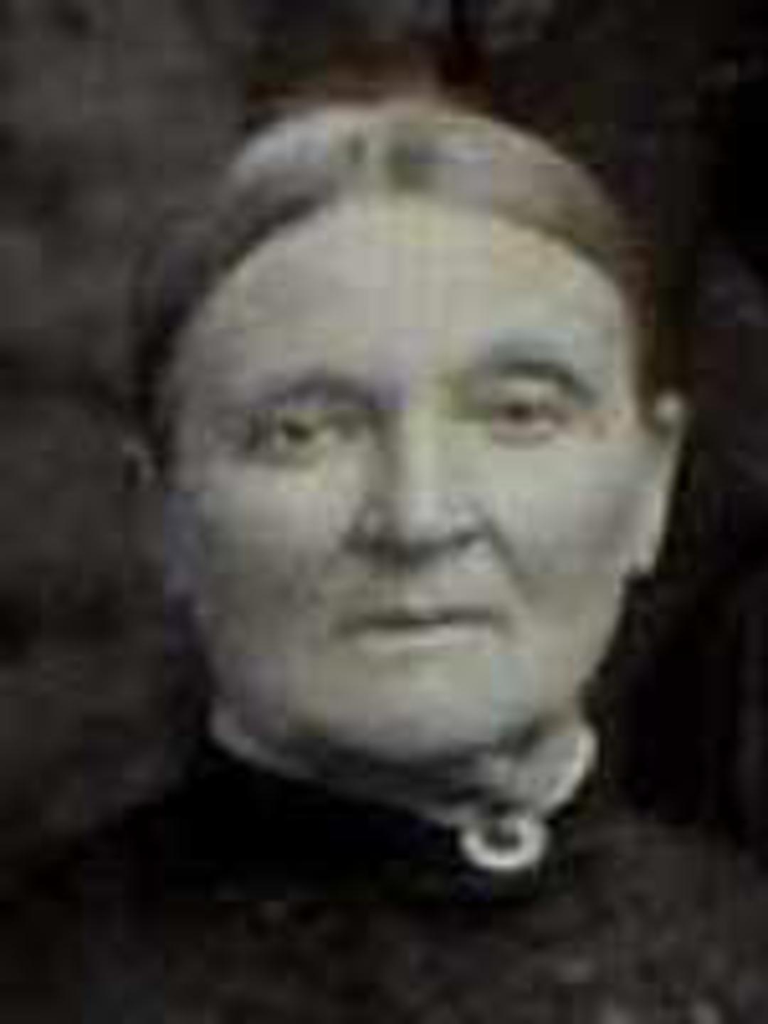 Jane Fryer (1823 - 1896) Profile
